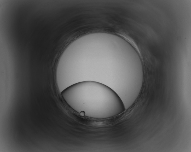 X0000098100061200804040754