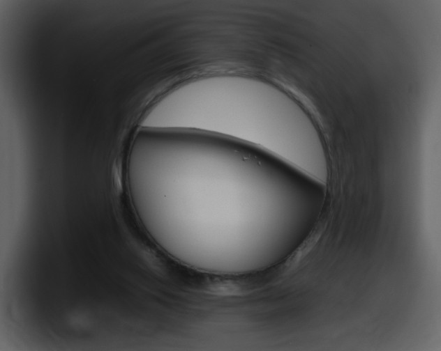 X0000098100062200804040754