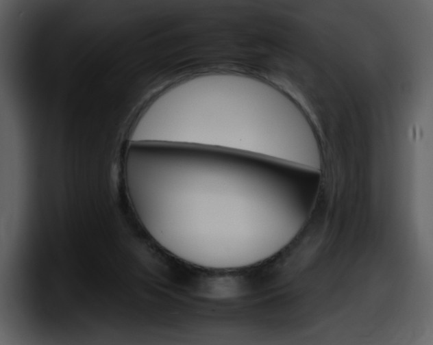 X0000098100063200804040754