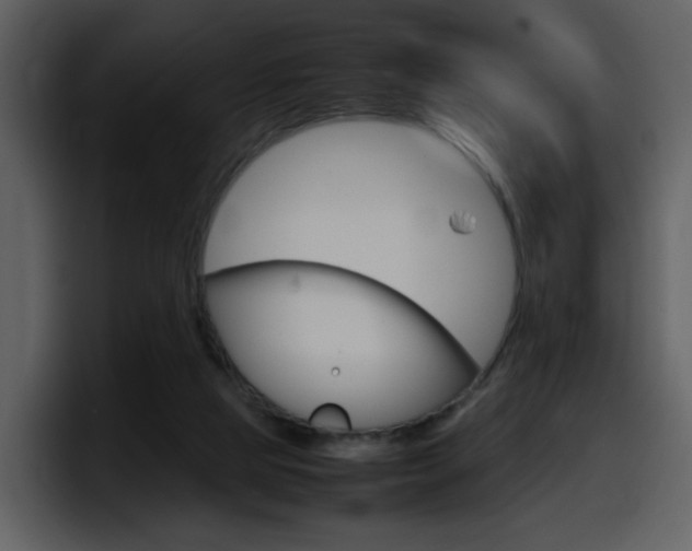 X0000098100065200804040755