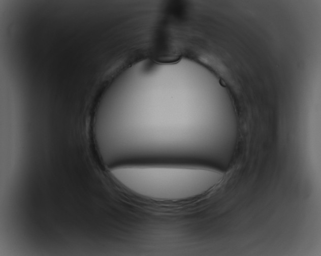 X0000098100066200804040755