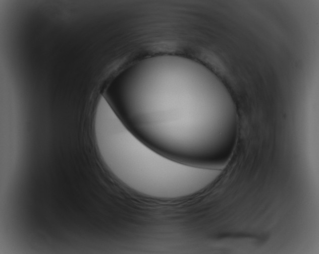 X0000098100068200804040755