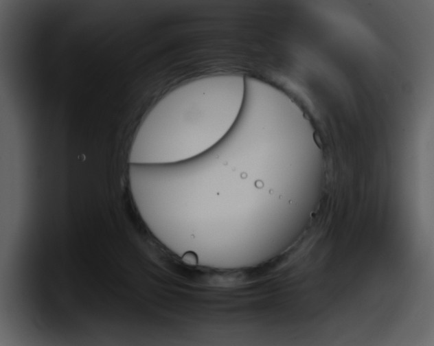 X0000098100069200804040755