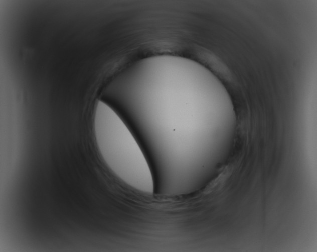 X0000098100070200804040755
