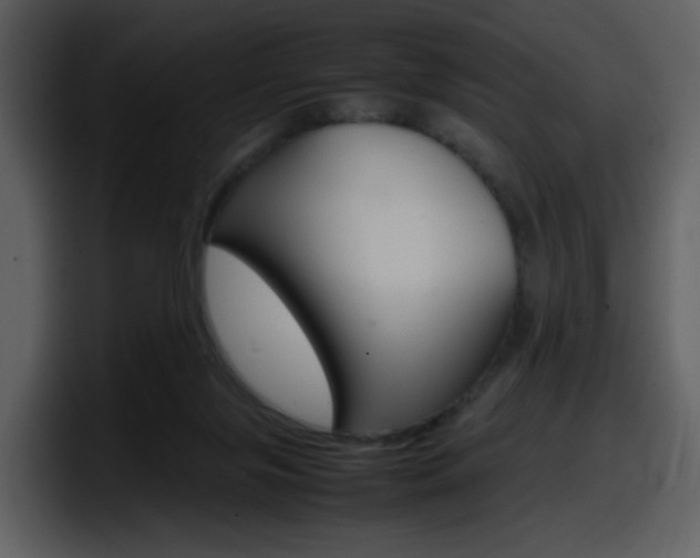 X0000098100071200804040755