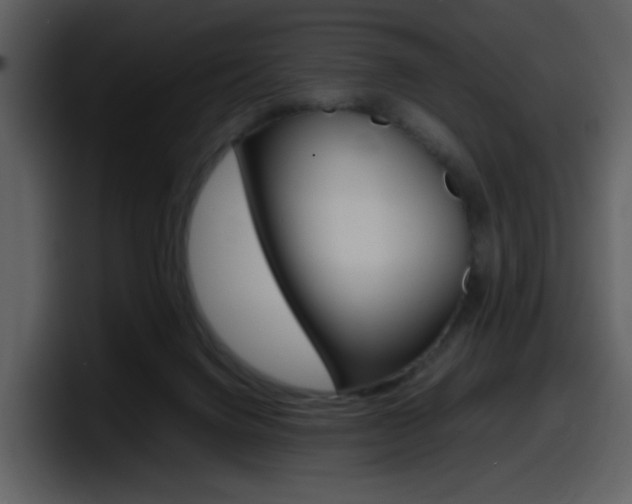 X0000098100072200804040755