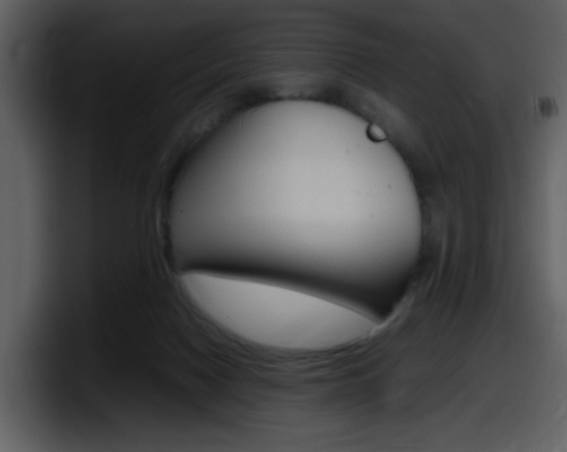 X0000098100074200804040755