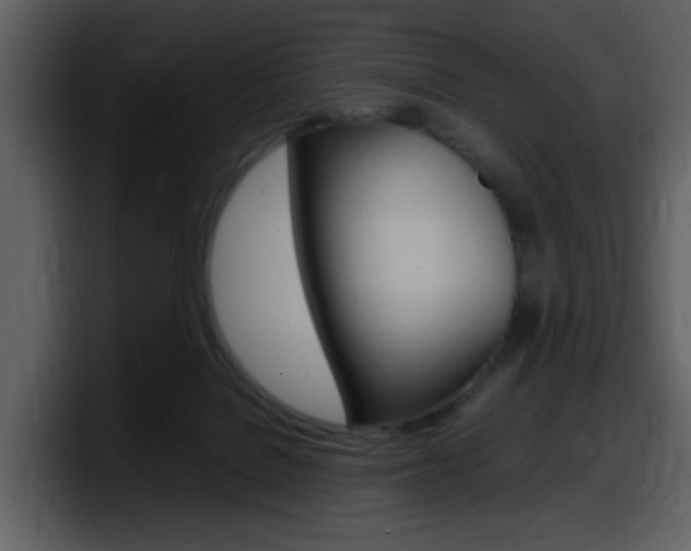 X0000098100076200804040755