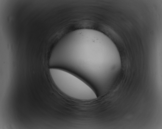 X0000098100077200804040755