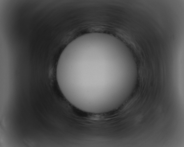 X0000098100079200804040755