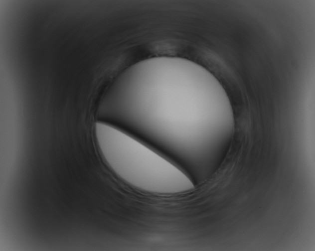 X0000098100081200804040755