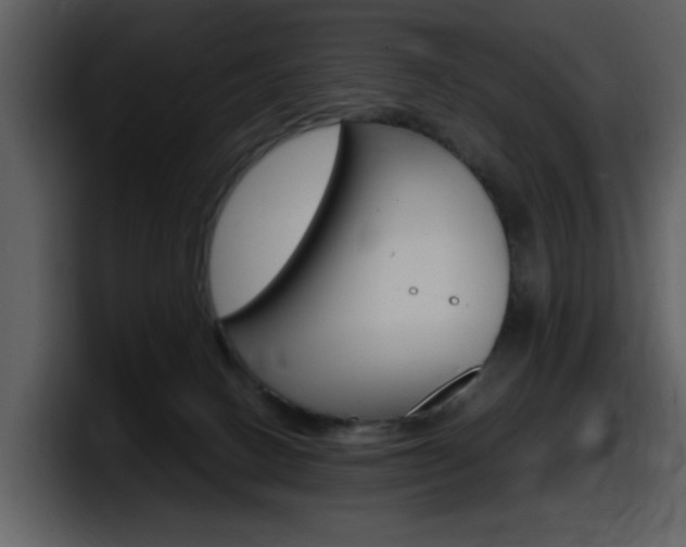 X0000098100082200804040755