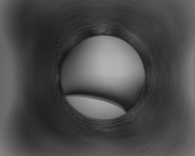 X0000098100085200804040755