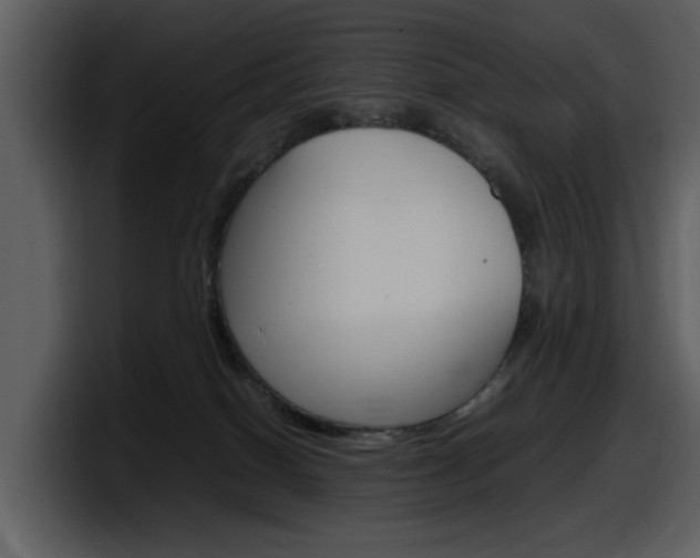 X0000098100086200804040755