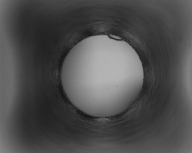 X0000098100087200804040755