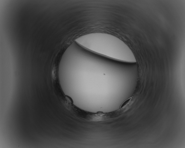 X0000098100090200804040755