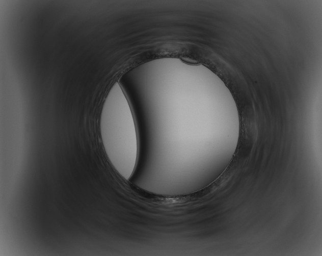 X0000098100091200804040755