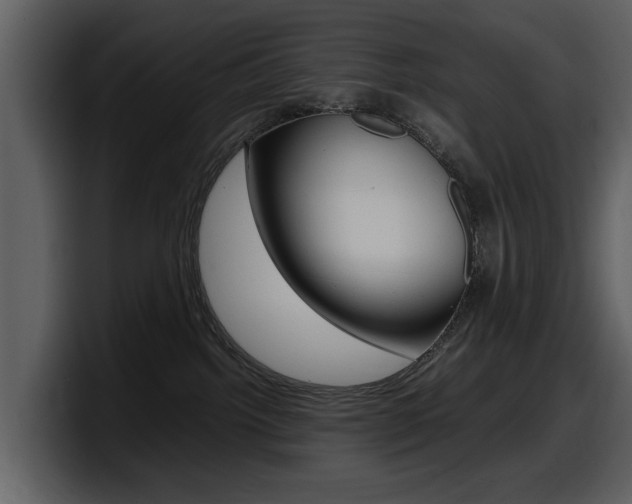 X0000098100092200804040755