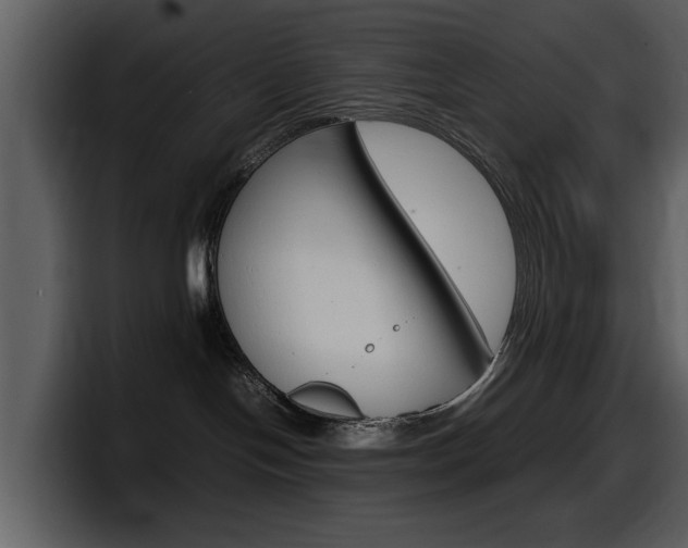 X0000098100094200804040755