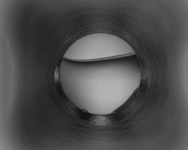 X0000098100095200804040755