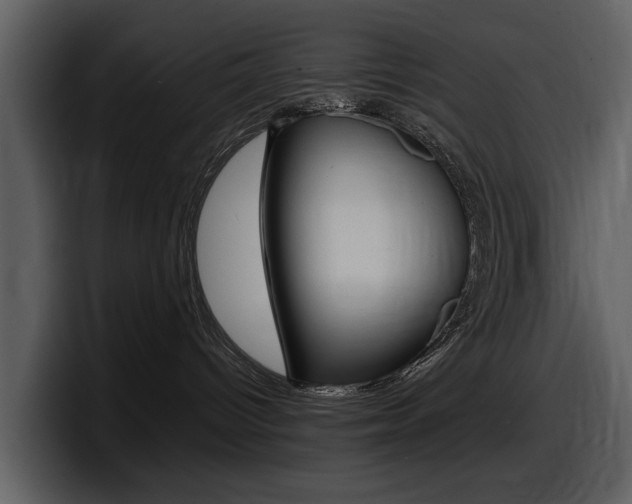 X0000098100096200804040755