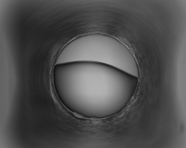 X0000098100097200804040754