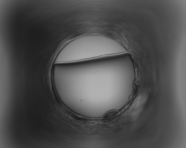 X0000098100099200804040754