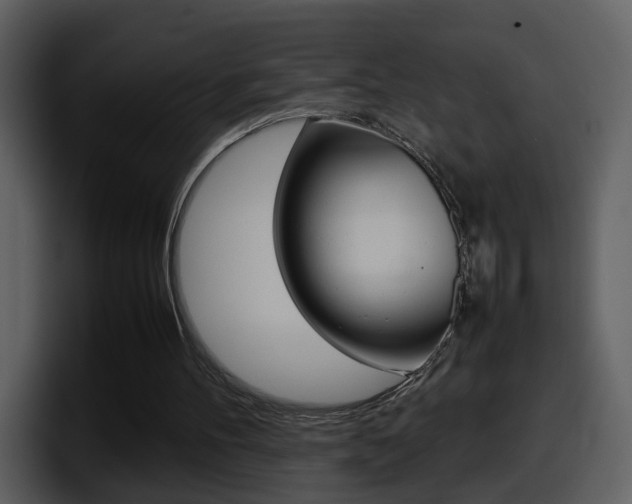 X0000098100100200804040754