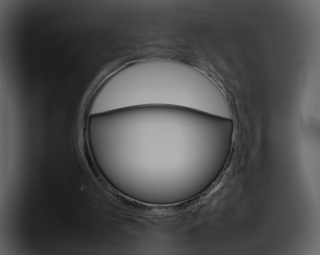 X0000098100101200804040754