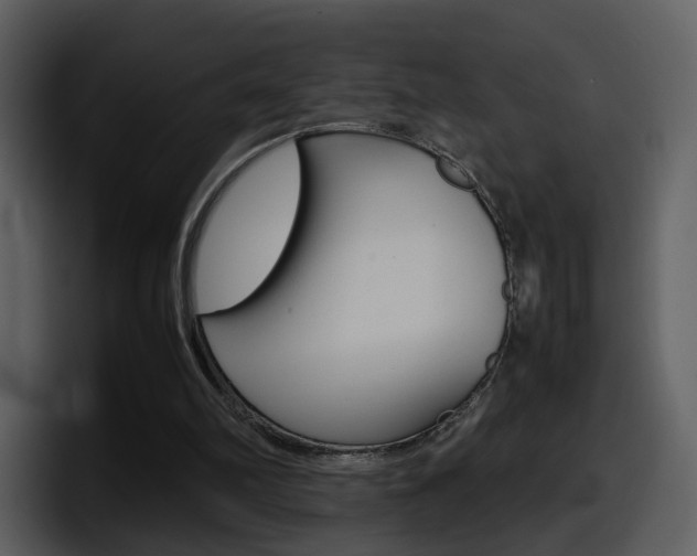 X0000098100102200804040754