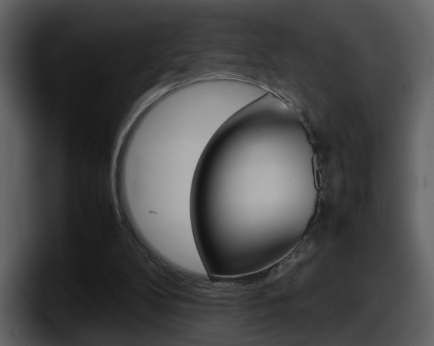 X0000098100104200804040754