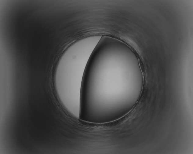 X0000098100105200804040754