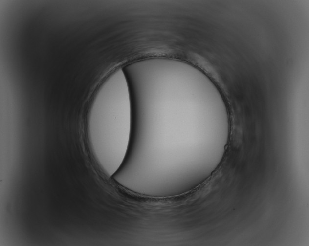 X0000098100106200804040754