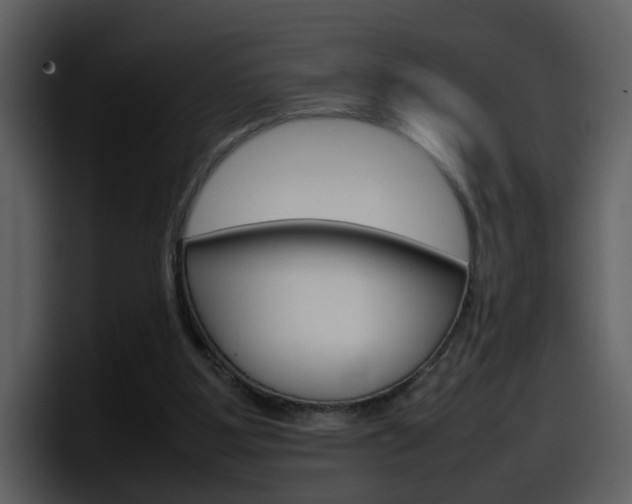 X0000098100107200804040754