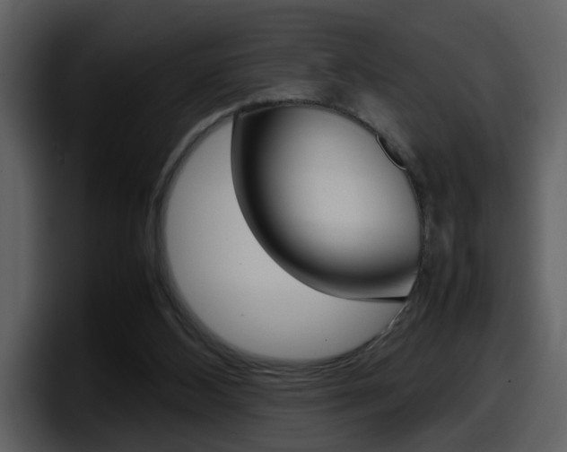 X0000098100108200804040754
