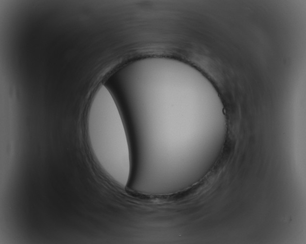 X0000098100111200804040754