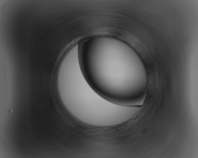 X0000098100112200804040754