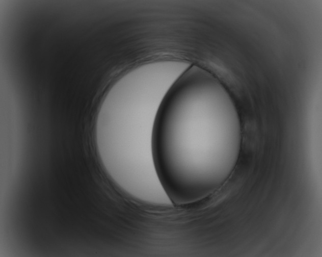 X0000098100116200804040754