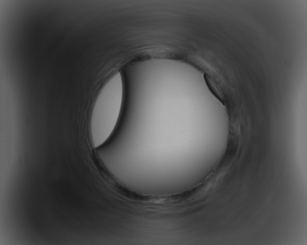 X0000098100117200804040754