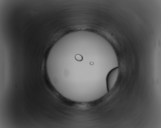 X0000098100118200804040754