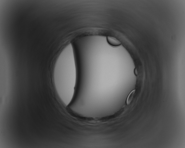 X0000098100119200804040754