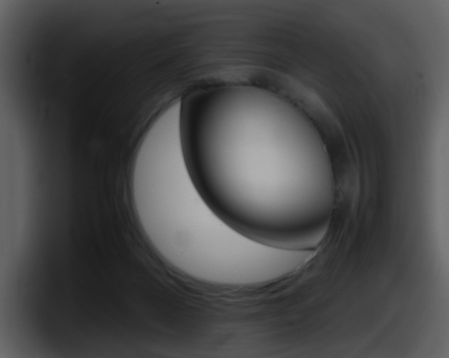 X0000098100120200804040754