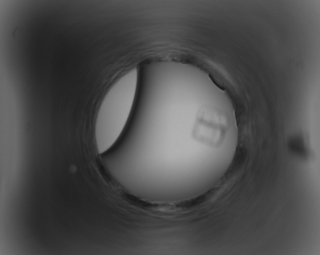 X0000098100121200804040754