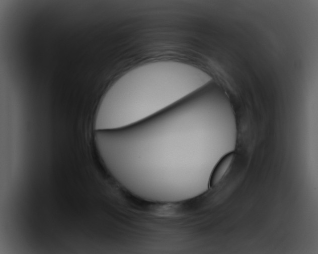 X0000098100122200804040754