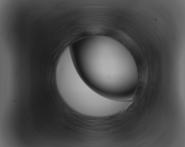 X0000098100124200804040754