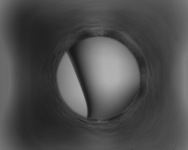X0000098100125200804040754