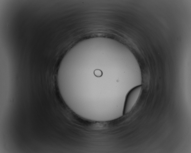 X0000098100126200804040754