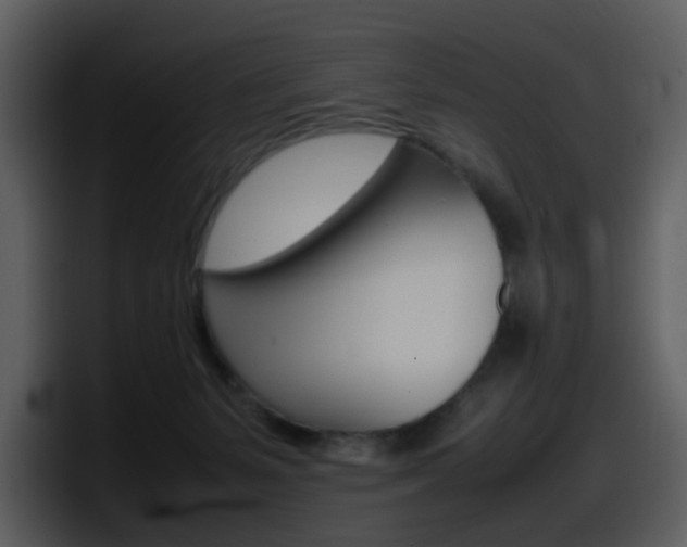 X0000098100127200804040754
