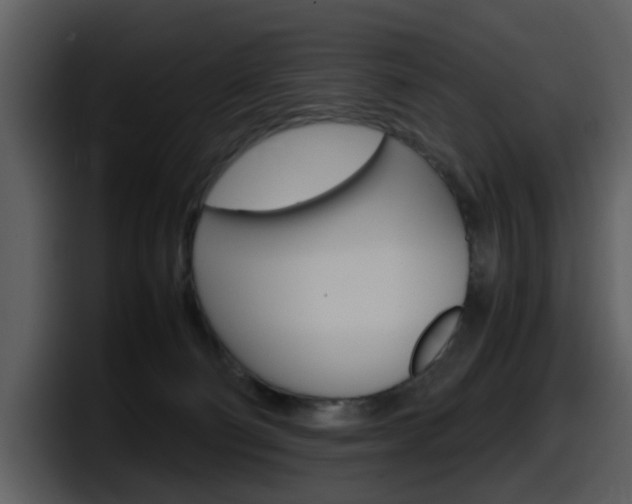 X0000098100130200804040754