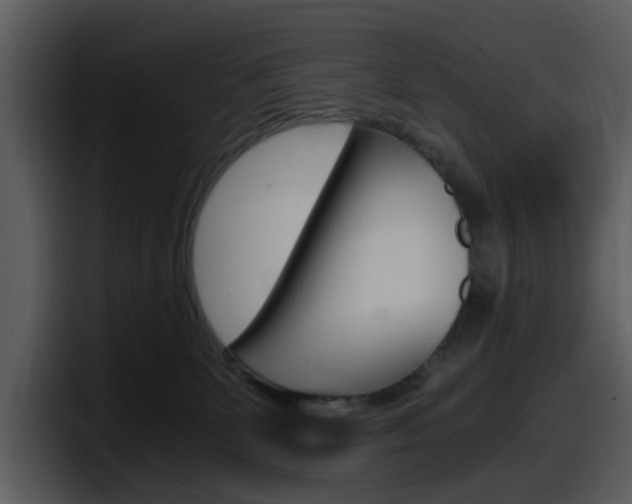 X0000098100131200804040754